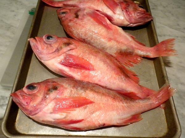 Red Fish 1Kg